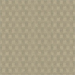 New Shadow Cube Tara